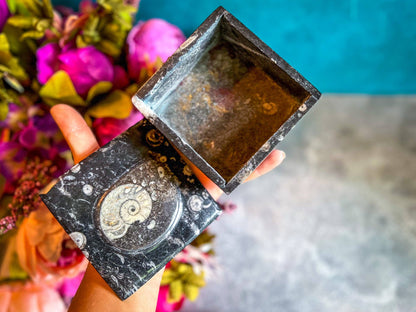 Ammonite Keepsake Box
