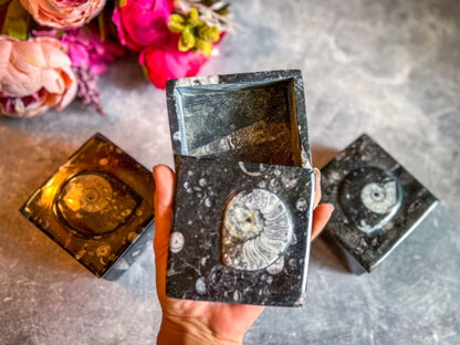 Ammonite Keepsake Box