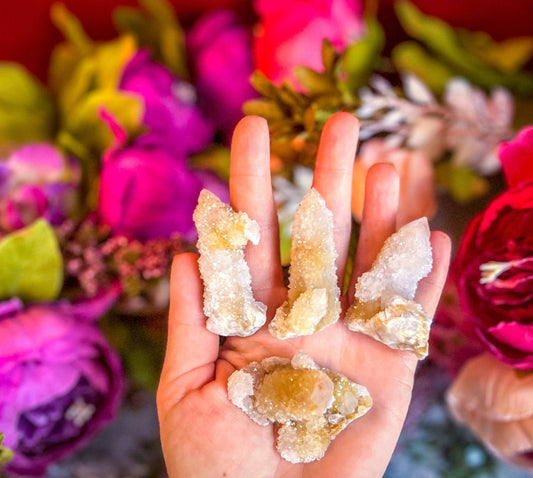 Spirit Quartz Points Cactus Quartz Clusters Ethically Source