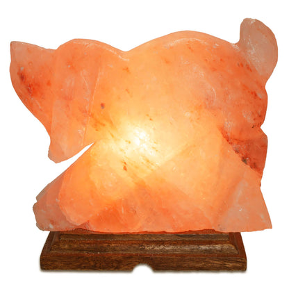 Dog Shaped Salt Lamp  - 9" avg. - Cord, Bulb, Dimmer