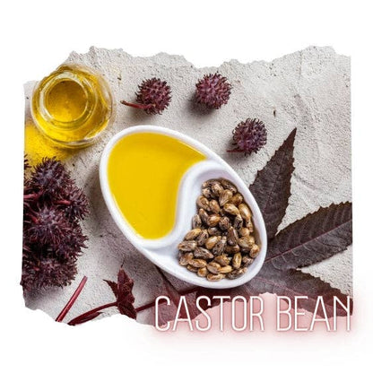 Organic Castor Oil Pack Kit Cold Pressed Hexane Free Unrefined Unbleached Cotton Flannel