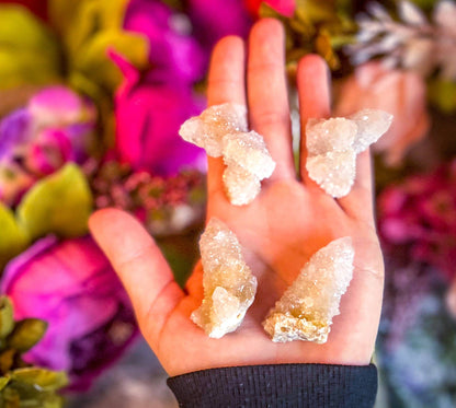 Spirit Quartz Points Cactus Quartz Clusters Ethically Source