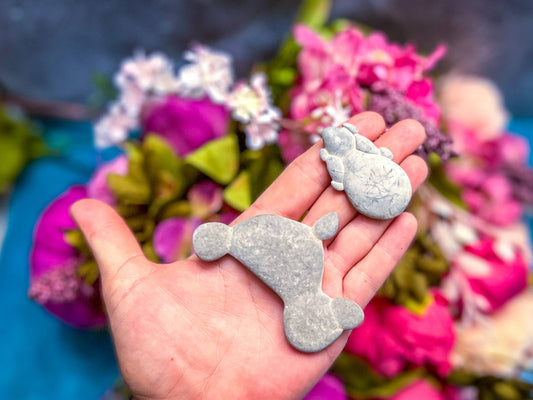 Amazing Fairy Stones