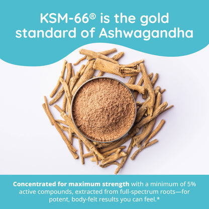 Zen Again Cortisol Manager